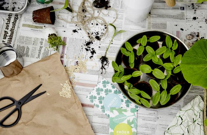 JARDINAGEM IKEA