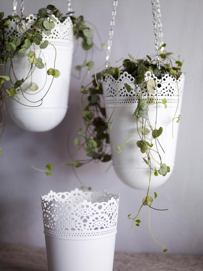 VASOS E PLANTAS