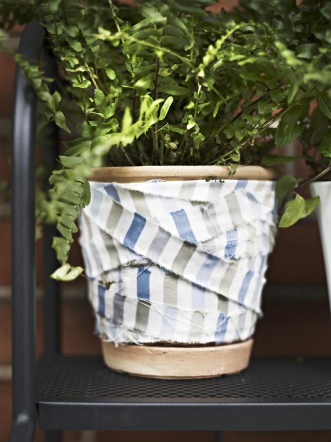 PLANTAS