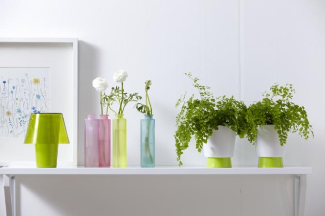 VASOS