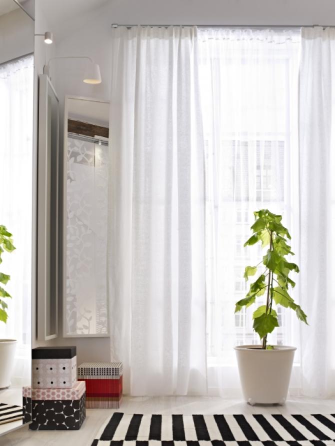 PLANTAS