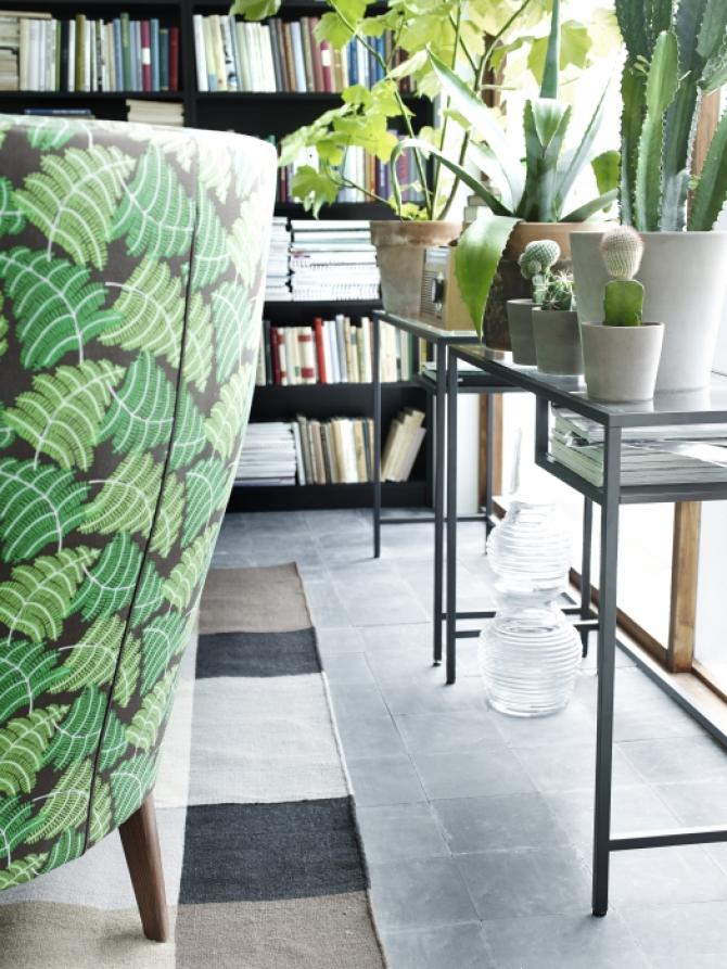PLANTAS