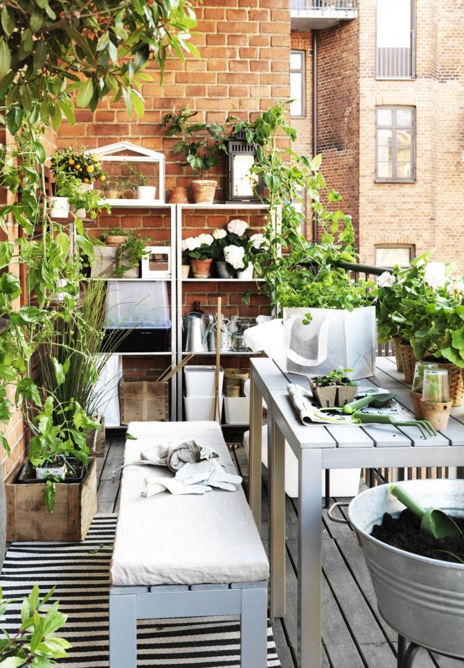 JARDINAGEM IKEA