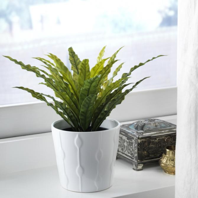 VASOS E PLANTAS