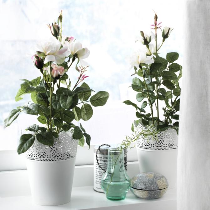 VASOS E PLANTAS