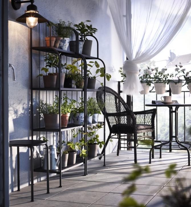 PLANTAS