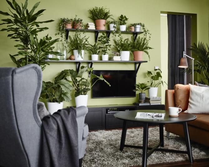 PLANTAS IKEA
