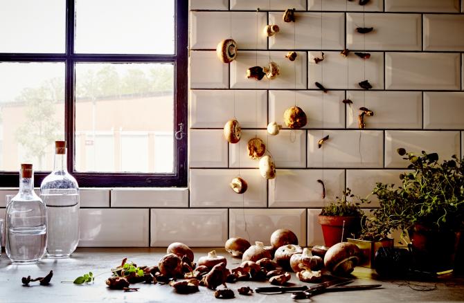 CONSERVAÇÃO DE ALIMENTOS IKEA