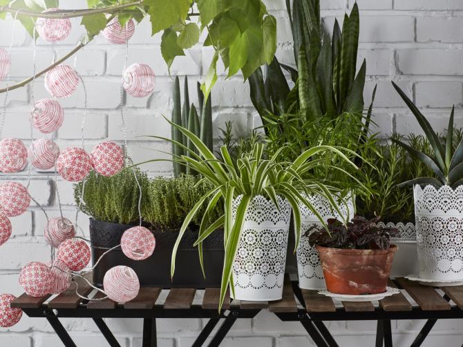PLANTAS E VASOS IKEA