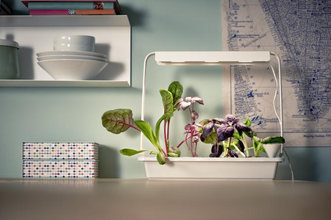 JARDINAGEM INTERIOR IKEA