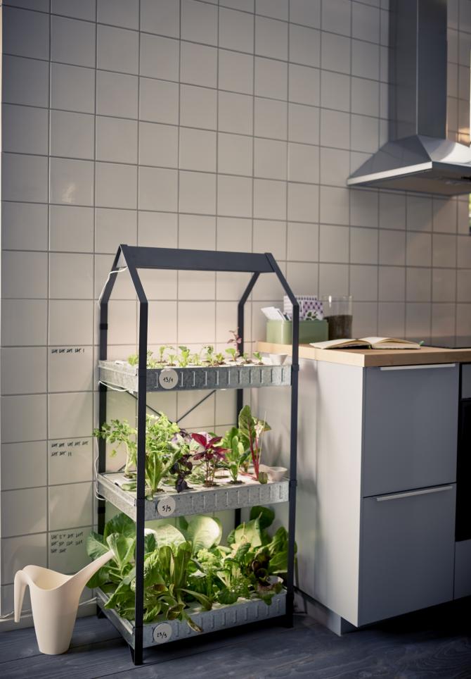 JARDINAGEM INTERIOR IKEA