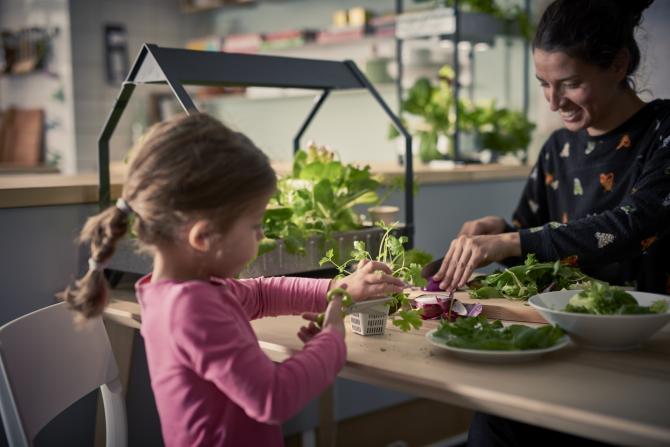 JARDINAGEM INTERIOR IKEA