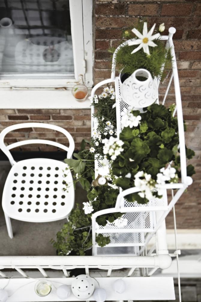 PLANTAS E VASOS IKEA