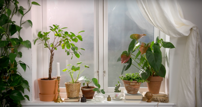 VASOS E PLANTAS IKEA